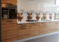 kitchen splashback laminate